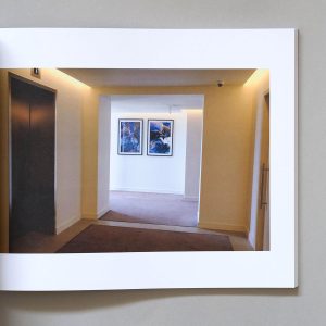 ANTHONY LUVERA Conditions of Living