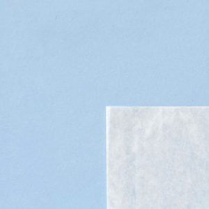 Clear Face Bags 10.5x12.5 Inches on a blue background