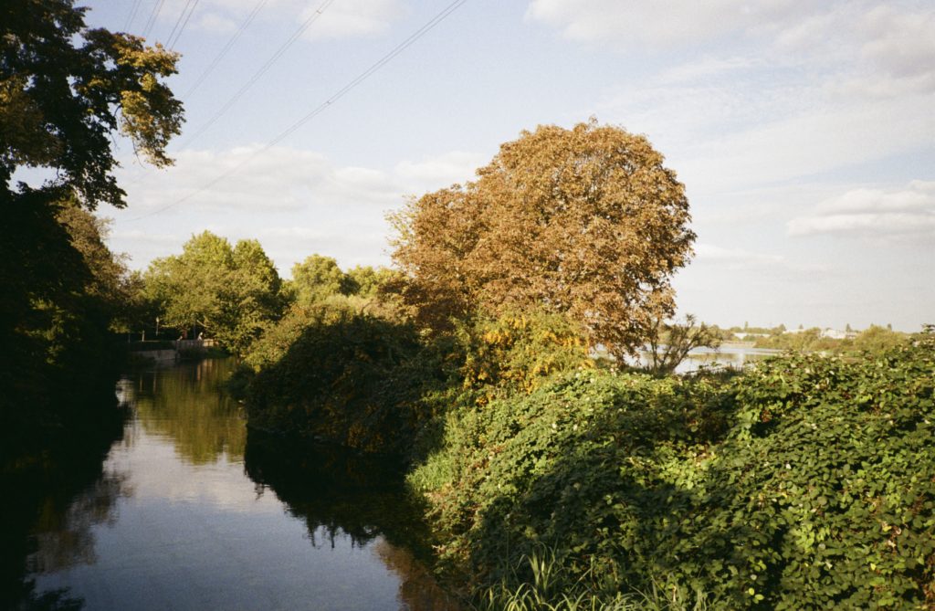 Trees and canal with clouds in a blue sky on a sunny afternoon. Kodak Gold 200 35mm Film