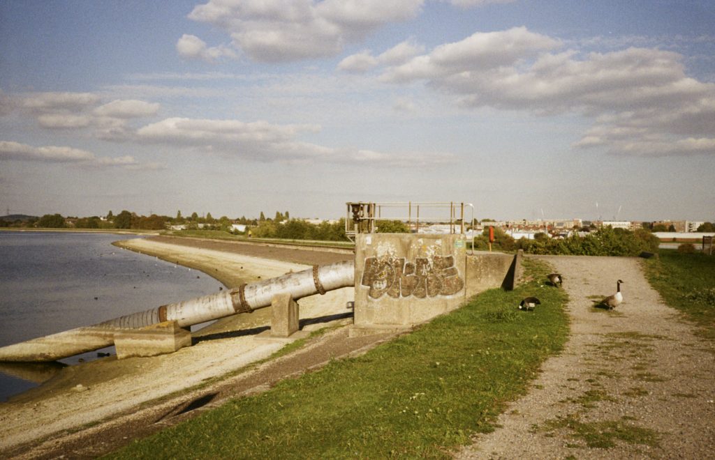 A sunny lakeside path with geese walking along the gravel track beside the water. A large metal pipe and concrete structure with graffiti sit near the shoreline, with trees and buildings visible in the distance under a sky of scattered clouds.