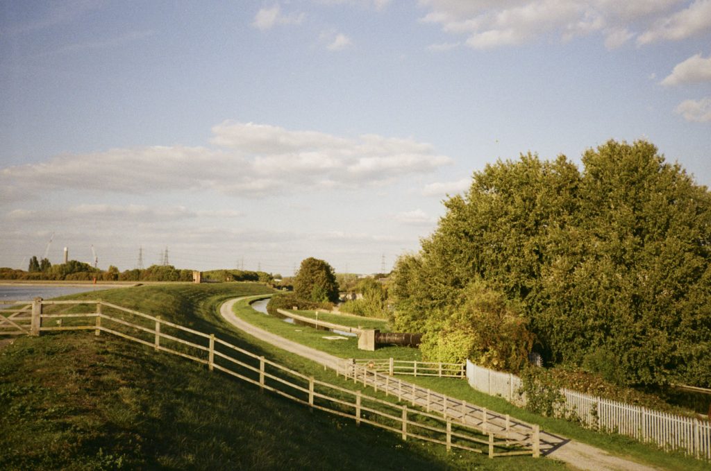 Walthamstow Wetlands trees, blue sky with clouds taken on 35mm film