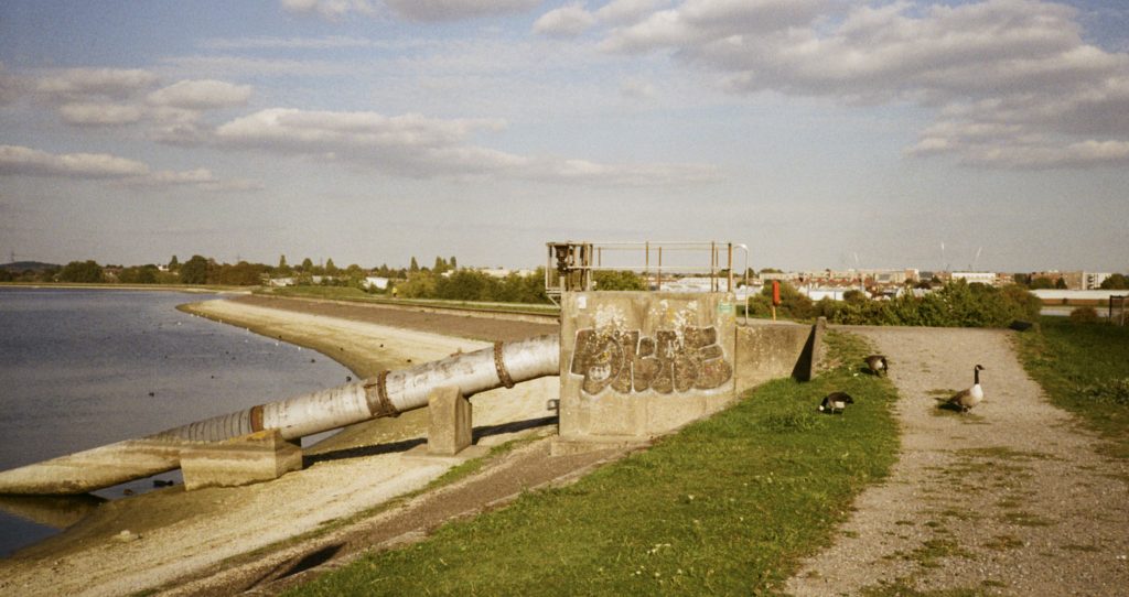 A sunny lakeside path with geese walking along the gravel track beside the water. A large metal pipe and concrete structure with graffiti sit near the shoreline, with trees and buildings visible in the distance under a sky of scattered clouds.