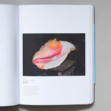 Use This If You Want to Take Great Photographs. A photo journal 4 Use This If You Want to Take Great Photographs. A photo journal