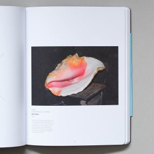 Use This If You Want to Take Great Photographs. A photo journal