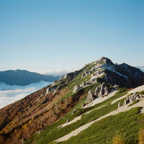 Kodak Snapic A1 35mm Film Camera Sample Image 2 Kodak Snapic A1 35mm Film Camera Sample Image 2