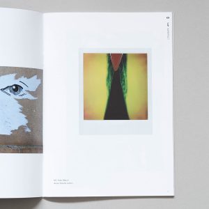 Flip Issue 61 Imperfect Issue