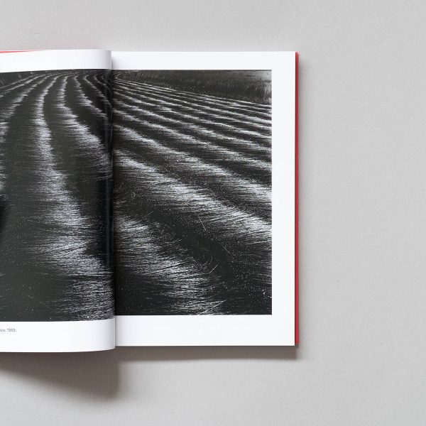 GUY BOURDIN Photofile