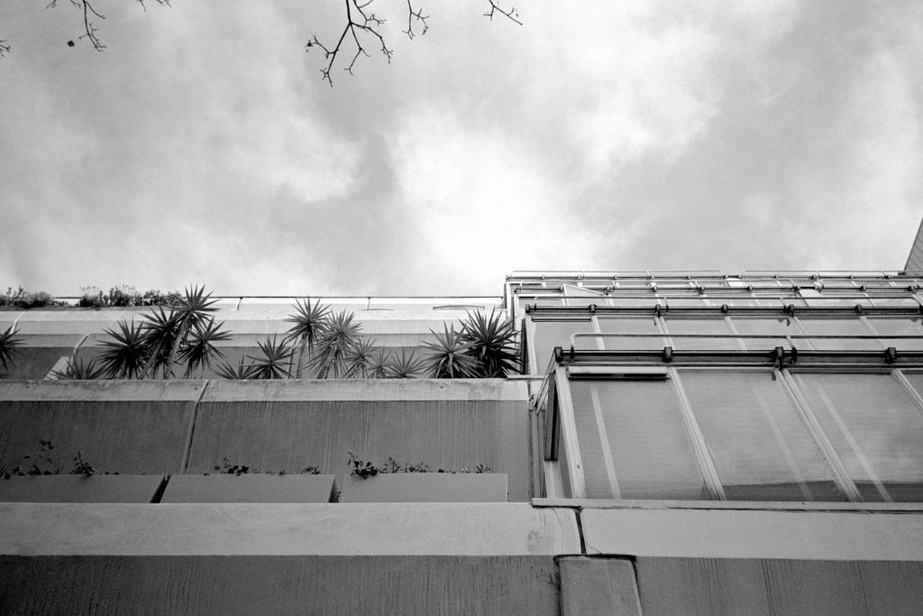 Kodak TMX 400 Snapic Brunswick Center 7