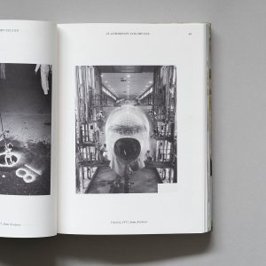 LARRY SULTAN Water Over Thunder: Selected Writings