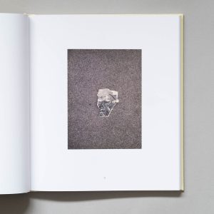 ALESSIO BOZONI & LUCA GUADAGNINO Luigi Ghirri Felicità