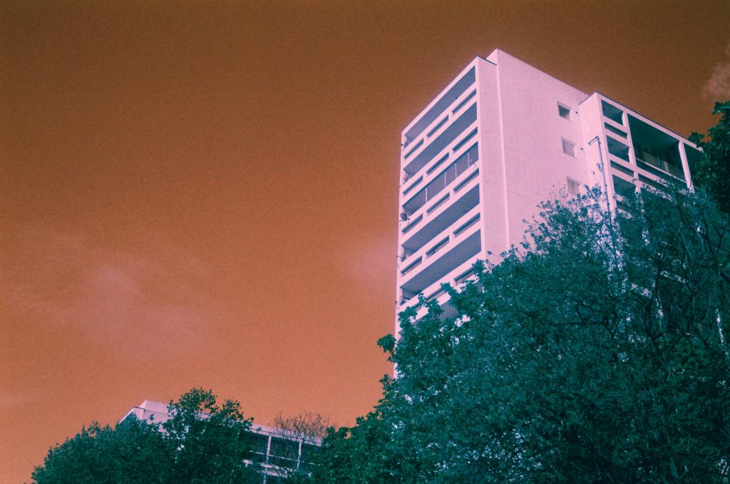 Loughborough Junction Estate tower with a tree in the foreground