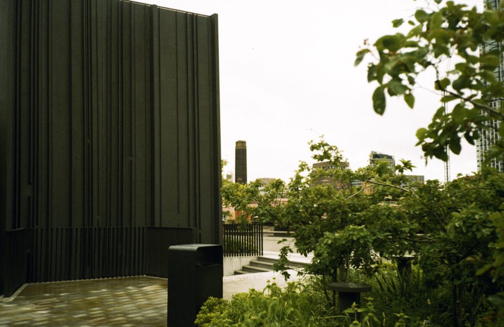 Modern sculpture with plants around, Tate Modern tower in the background on 35mm film