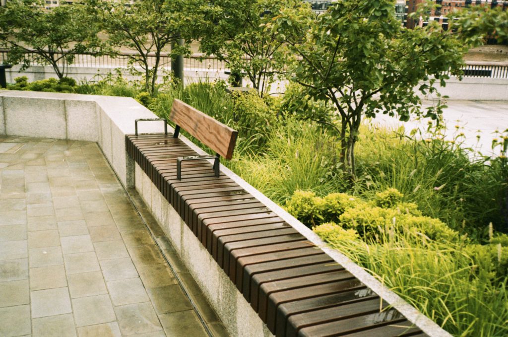 Bench with plants around it on 35mm Film, taken on an Olympus mju II camera