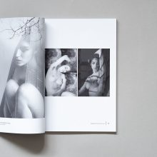 Analogue Dispatch Issue 3 2 The Analogue Dispatch Issue N3 Spring 2026