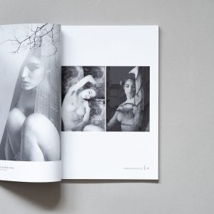 The Analogue Dispatch Issue N3 Spring 2026