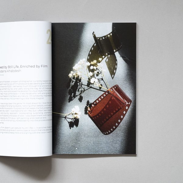 Analogue Dispatch Issue 3 3 The Analogue Dispatch Issue N3 Spring 2026