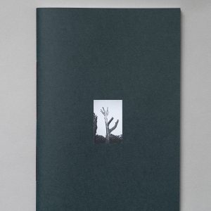 JERRY FLOREZ Shapes Of Absence