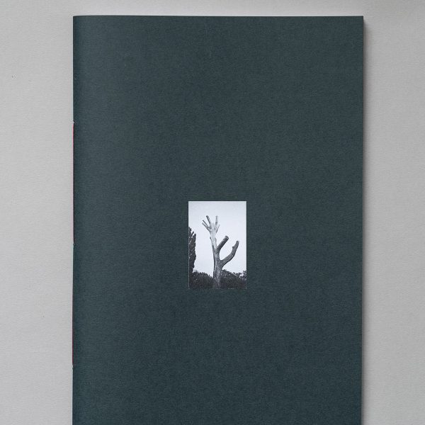 JERRY FLOREZ Shapes of Absence JERRY FLOREZ Shapes Of Absence