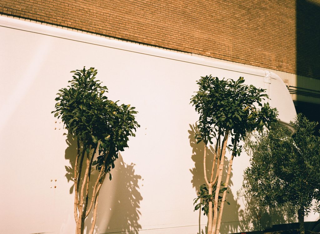 Trees with shadows on  a white van, Lucky 200 Film 120
