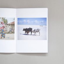 MICHAEL GORDON African Destination