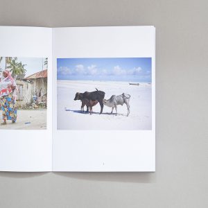 MICHAEL GORDON African Destination