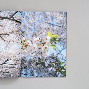 OLIVER BRYANT Sakura: A Journey Through Japan