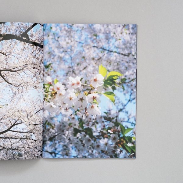 OLIVER BRYANT Sakura 3 OLIVER BRYANT Sakura: A Journey Through Japan